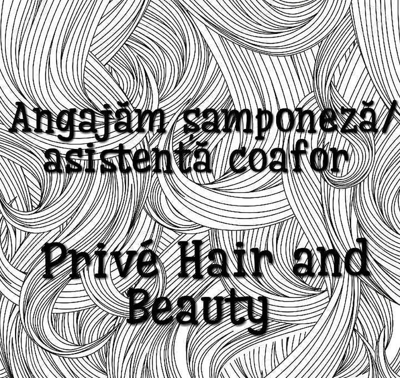 hedge Postcard cure Angajare Samponeza, asistenta coafor Privé hair and beauty - anuntul.ro -  ry0Qez
